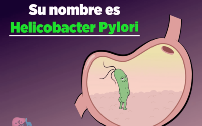 de que se alimenta la bacteria helicobacter pylori